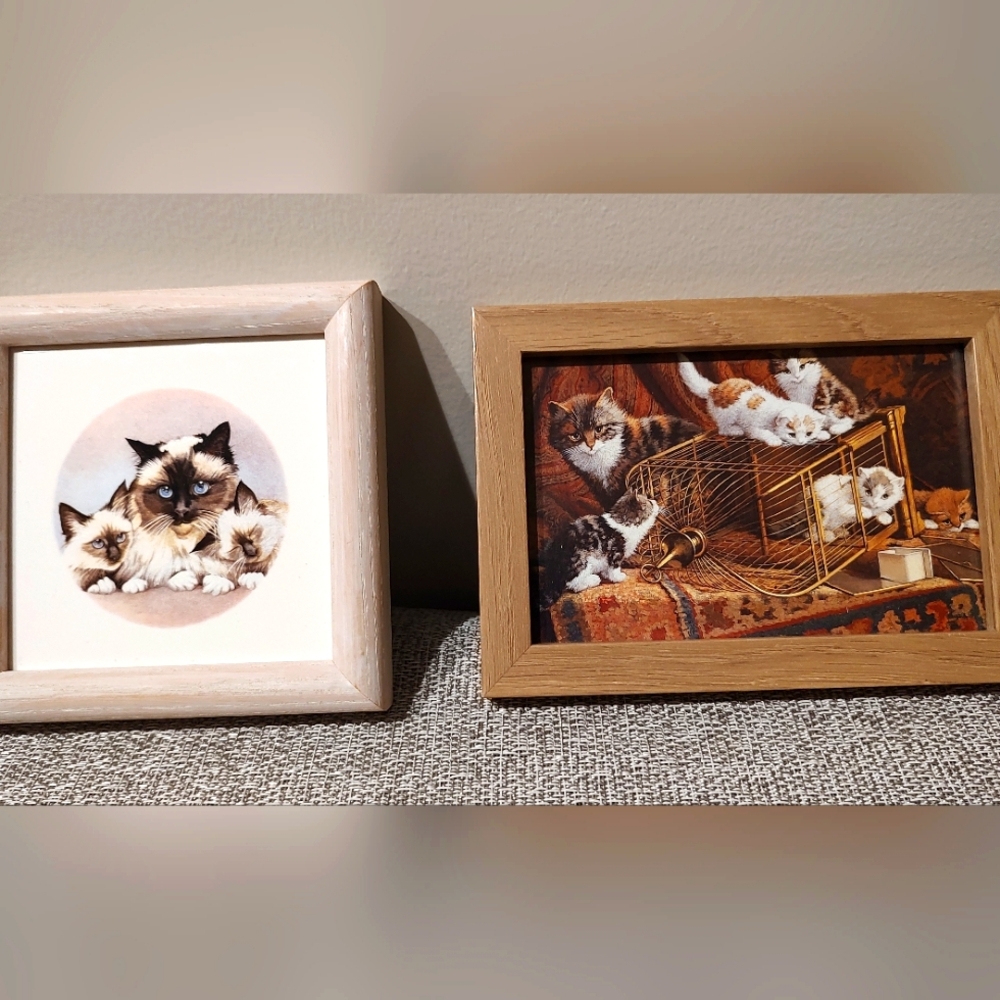 Two Framed Pictures of Mother Cats and Kittens